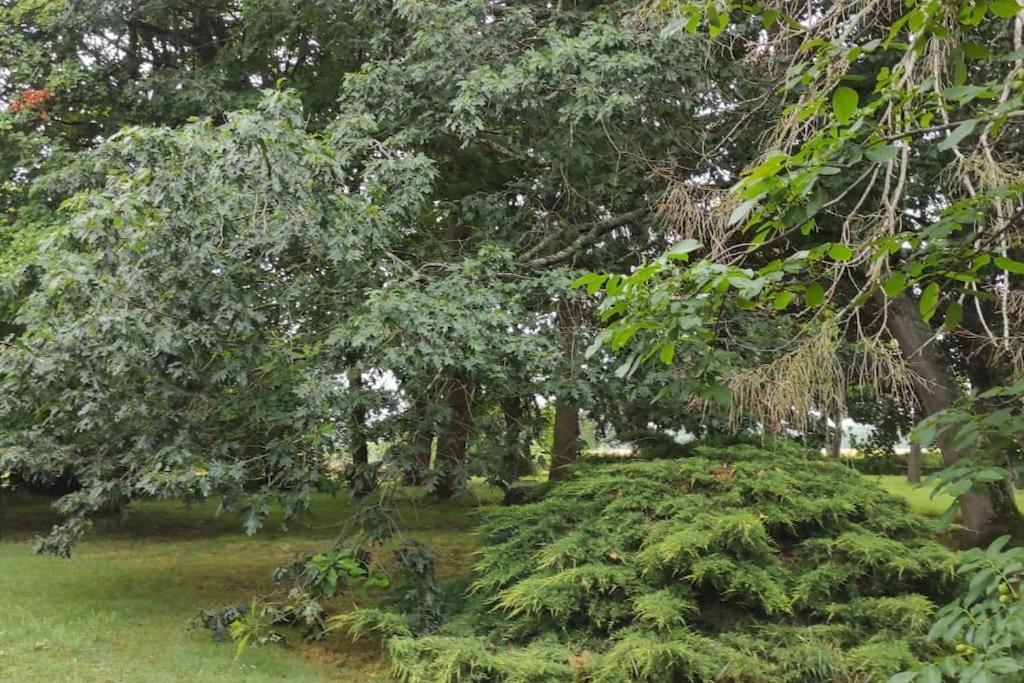 Villa Propriete De Campagne Vierzon Exterior foto